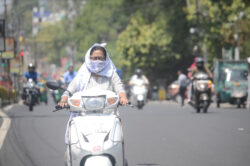 MP Heatwave Alert