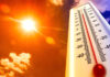 MP Weather Update : प्रचंड गर्मी का कहर, तापमान 45 पार ,भोपाल समेत 37 जिलों में लू का कहर Heatwave Alert