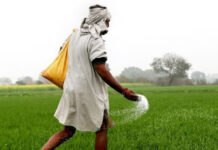 जनजातीय अंचल में पहली बार हो रही कृषि कैबिनेट : CM डॉ. यादव