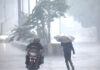 MP Weather News: मध्य प्रदेश में मानसून का जोर, 5 जिलों में ऑरेंज अलर्ट MP