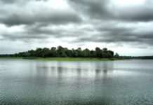 एमपी का मौसम- फेंगल चक्रवात के प्रभाव से कई जिलों में आज बारिश की संभावना, रात के तापमान में होगी गिरावट