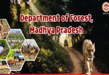 एसएफआरआई जबलपुर के वन संरक्षक रविंद्र मणि त्रिपाठी बनाए गए कान्हा टाइगर रिजर्व के क्षेत्र संचालक