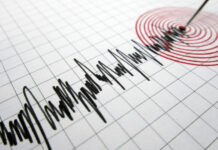 बिहार में भूकंप के झटके से डोली धरती, घरों से बाहर निकले लोग