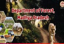 मध्य प्रदेश में ऑपरेशन ‘वाइल्ड ट्रैप’ से वन अपराधों के लिए 429 आरोपी गिरफ्तार