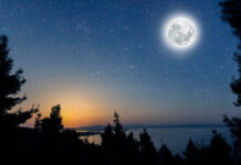 Magh Purnima 2025: इस वर्ष विशेष है माघी पूर्णिमा, जानें चंद्रोदय का समय और पूजा विधि