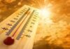 Heatwave Alert : कई जिलों में 45 डिग्री पार, हीटवेव अलर्ट जारी Heatwave Alert