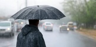 Weather Alert : MP के कई जिलों में झमाझम बारिश-आंधी का अलर्ट, IMD की चेतावनी Weather Alert