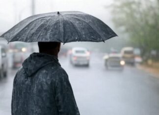 MP में फिर सक्रिय हुआ मानसून, 8 जिलों में भारी बारिश का अलर्ट MP Weather Alert