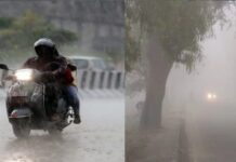 MP में बदला मौसम का मिजाज, 15 से अधिक जिलों में बारिश, 22 फरवरी से फिर सक्रिय