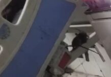 जबलपुर: मेडिकल के बाद विक्टोरिया अस्पताल में चूहों की भरमार