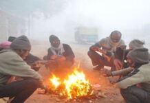 MP शीतलहर का कहर, 31 शहरों में तापमान 10 से नीचे, कोहरे से कई ट्रेनें लेट