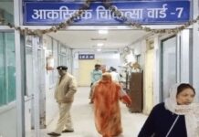 जबलपुर में बाउंड्री कूदकर घर में घुसा तेंदुआ, OFK के वेस्टलैंड में दस्तक