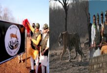मध्य प्रदेश को मिला नया टाइगर रिजर्व,अब संख्या हुई नौ