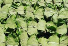 साल की अंतिम कैबिनेट बैठक आज,तेंदूपत्ता खरीदी के लिए 400 करोड़ रुपए का कर्ज लेने जा रही सरकार