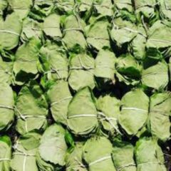 Dr. Mohan Yadav का बड़ा बयान