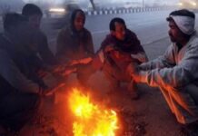 मध्य प्रदेश में ठंड का असर तेज, उत्तरी जिलों में छाया घना कोहरा, पचमढ़ी 3.6 डिग्री के साथ सबसे ठंडा