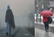 MP में बदलेगा मौसम का मिजाज, 23-24 जनवरी को बारिश के आसार