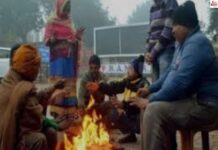 MP में सर्दी का सितम जारी, कई जिलों में पारा 5 डिग्री से नीचे, बारिश की संभावना