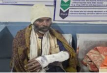 किसान पर भालू ने किया हमला, घसीटते हुए जंगल की ओर ले जा रहा था