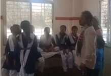 स्कूल में प्रार्थना के वक्त मधुमक्खियों ने किया हमला, मची चीख पुकार, भगदड़, 15 छात्र-छात्राएं घायल