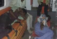 बड़ा हादसा, मैहर में 10 फीट गहरी खाई में गिरा ऑटो, 7 घायल major-accident-auto-falls-into-10-feet-deep-ditch-in-maihar-7-injured