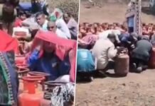 गैस सिलेंडर की लाइन में खड़े लोगों पर हजारों मधुमक्खियों का हमला, मची भगदड़, कई घायल