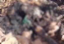 शर्मनाक – क्लच वायर से हाथ, मुंह बांधकर महिला को जिंदा जलाया, घर भी किया आग के हवाले, मलवा से निकाली लाश