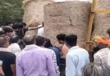 घास से लोड ट्रेक्टर-ट्राली अनियंत्रित होकर पलटी a-tractor-trolley-loaded-with-hay-went-out-of-control-and-overturned