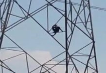 प्रेमिका के लिए 200 फीट ऊंचे बिजलीटावर पर चढ़ा प्रेमी a-lover-climbed-a-200-foot-high-electricity-tower-for-his-girlfriend
