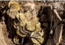 जबलपुर में गड़ा धन पाने के चक्कर में डाक्टर ने गवाएं 60 लाख रुपए, राइट टाउन क्षेत्र में घटना