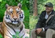 रेल मार्ग से वन्यजीव तस्करी का बड़ा खुलासा, दुर्लभ प्रजातियों का नेटवर्क बेनकाब