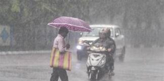 MP Weather : मध्य प्रदेश में मौसम का डबल अटैक—30+ जिलों में आंधी-बारिश का अलर्ट, गर्मी से मिलेगी राहत MP Weather