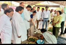 Organic market : शुद्ध उत्पादों का केंद्र, किसानों की आमदनी का आधार Organic market