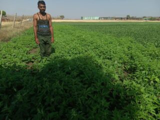 JABALPUR