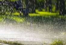 MP Weather: मानसून की धमाकेदार एंट्री, कहीं मूसलाधार बारिश तो कहीं आंधी-तूफान MP Weather