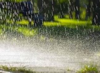 मौसम ने बदला मूड! MP में साफ रहेगा आसमान, लेकिन आंधी-गरज से रहें सावधान Weather Alert