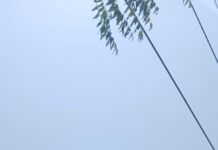 MP Transco : 220 केवी ट्रांसमिशन लाइन में ट्रिपिंग का कारण दूर, बड़ा हादसा टला MP Transco