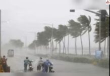 MP Rain Alert : 24 अगस्त को इन जिलों में जमकर बरसेंगे बादल, IMD का अलर्ट Weather Alert