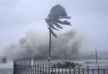 MP Weather : मध्य प्रदेश में बदला मौसम, कई जिलों में तेज आंधी-बारिश की चेतावनी MP Weather