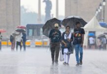 MP Weather Today : कहीं रिमझिम तो कहीं मूसलाधार बारिश; जानें आपके शहर का मौसम MP Weather Today