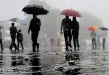 IMD Weather Alert : यूपी-MP और बिहार में भारी बारिश का अलर्ट, दिल्ली में भी बूंदाबांदी के आसार IMD Weather Alert
