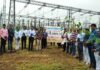 MP Transco ने विश्व प्रकृति संरक्षण दिवस पर चलाया पौधारोपण अभियान MP Transco