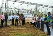 MP Transco ने विश्व प्रकृति संरक्षण दिवस पर चलाया पौधारोपण अभियान MP Transco