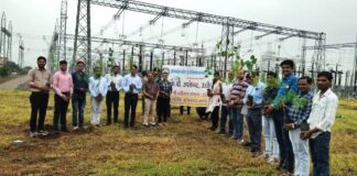 MP Transco ने विश्व प्रकृति संरक्षण दिवस पर चलाया पौधारोपण अभियान MP Transco