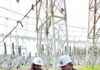 MP Transco में महिला और दिव्यांग इंजीनियरों की समान भागीदारी MP Transco
